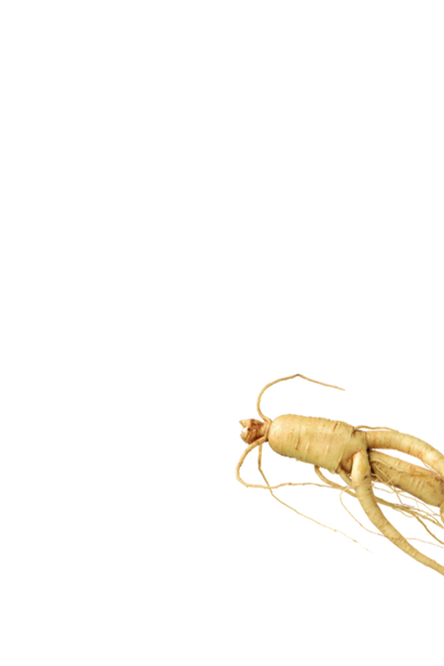 Korean Ginseng