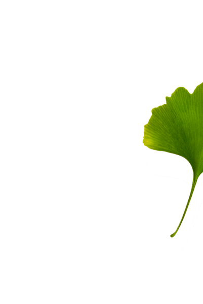 Ginkgo Biloba