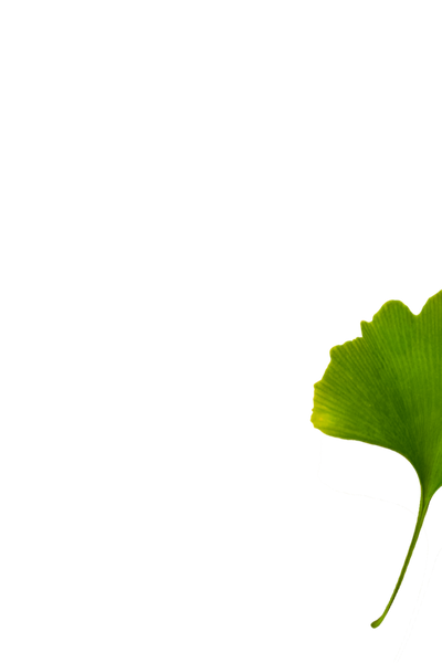 Ginkgo Biloba