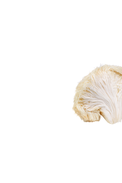 Lion’s Mane