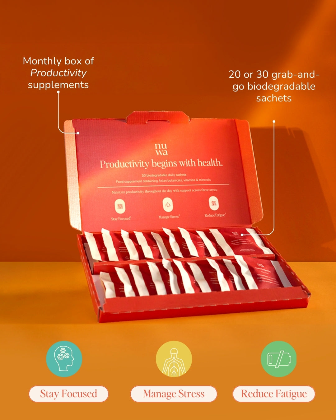 Productivity | Supplement Box with Pre-packed Sachets