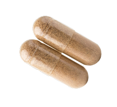 Botanical Blend